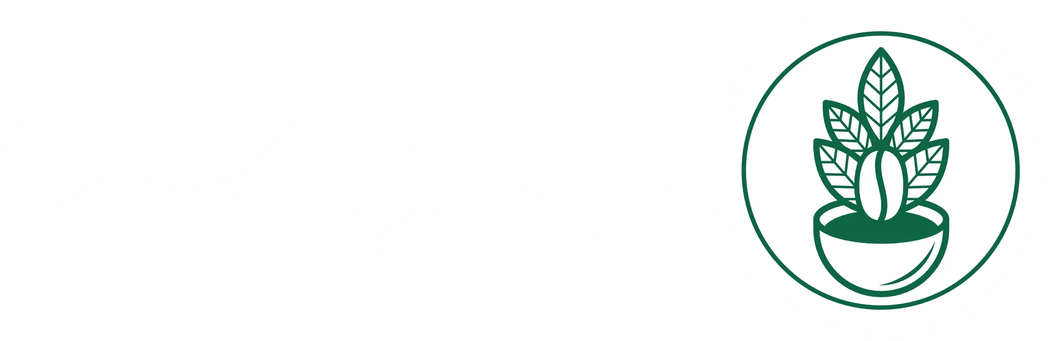 فروشگاه اینترنتی ویبرنس