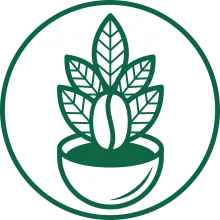 قهوه ناب محمدی